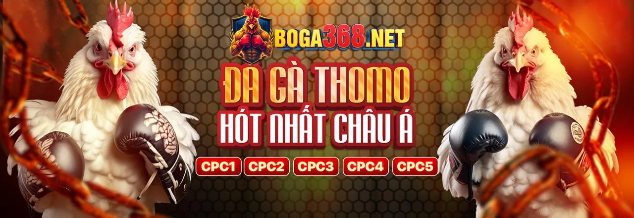 Đá Gà Trực Tuyến 98win5