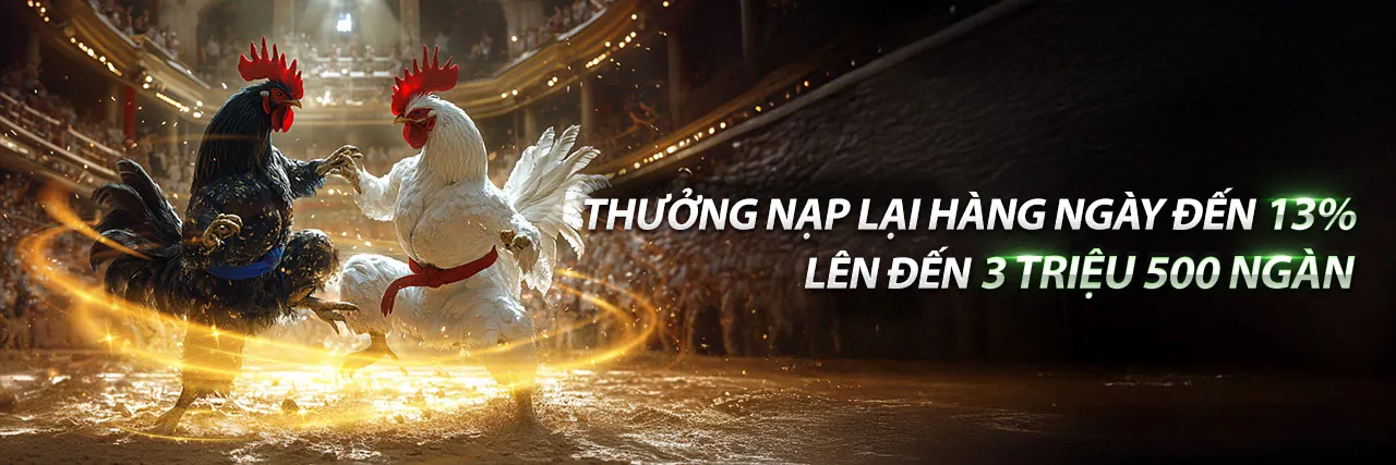 Chương trình đại lý 98win5 với hoa hồng hấp dẫn